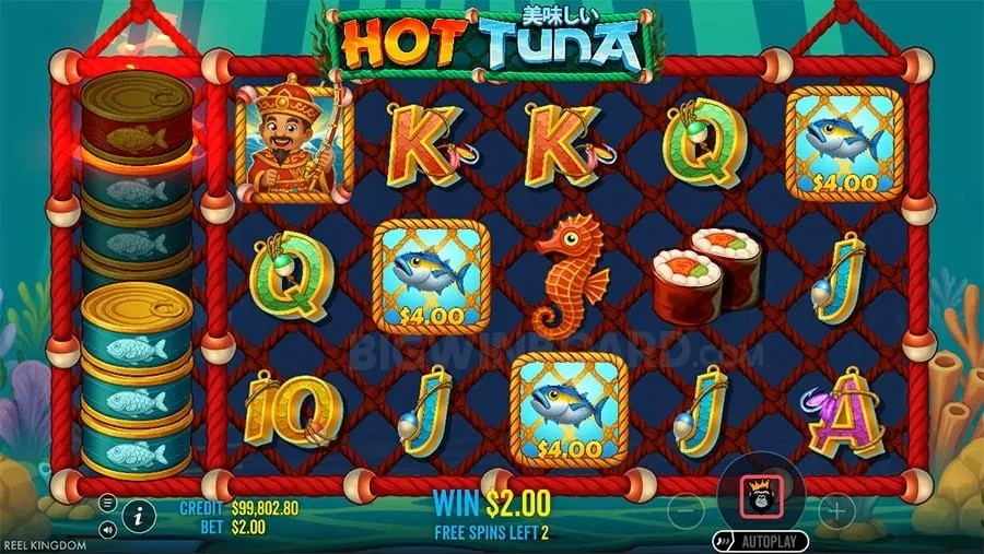 Live Casino